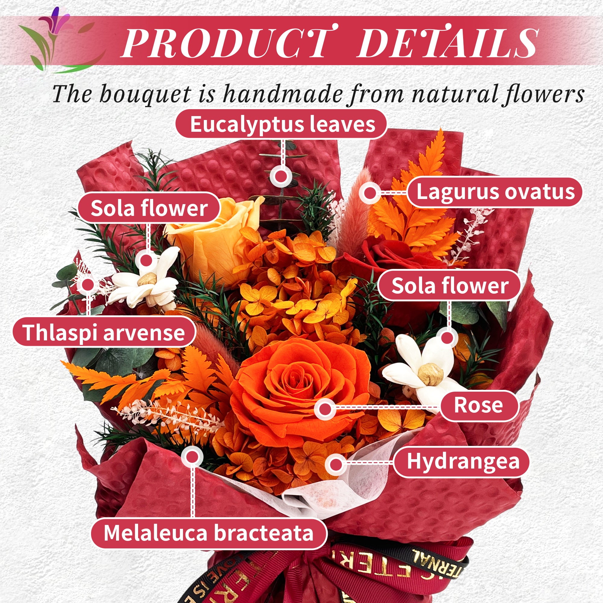 Preserved Flowers – Dark Red Cardboard