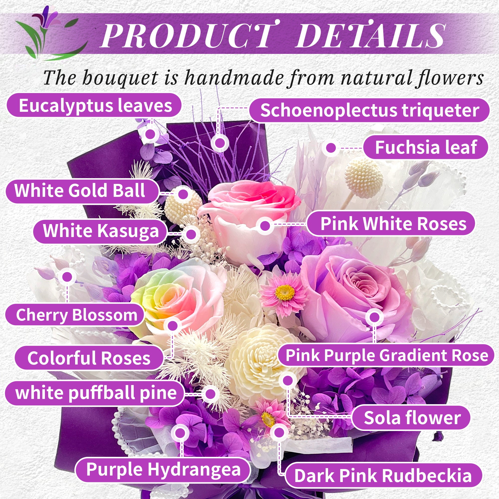 Preserved Flowers – Purple Paper
